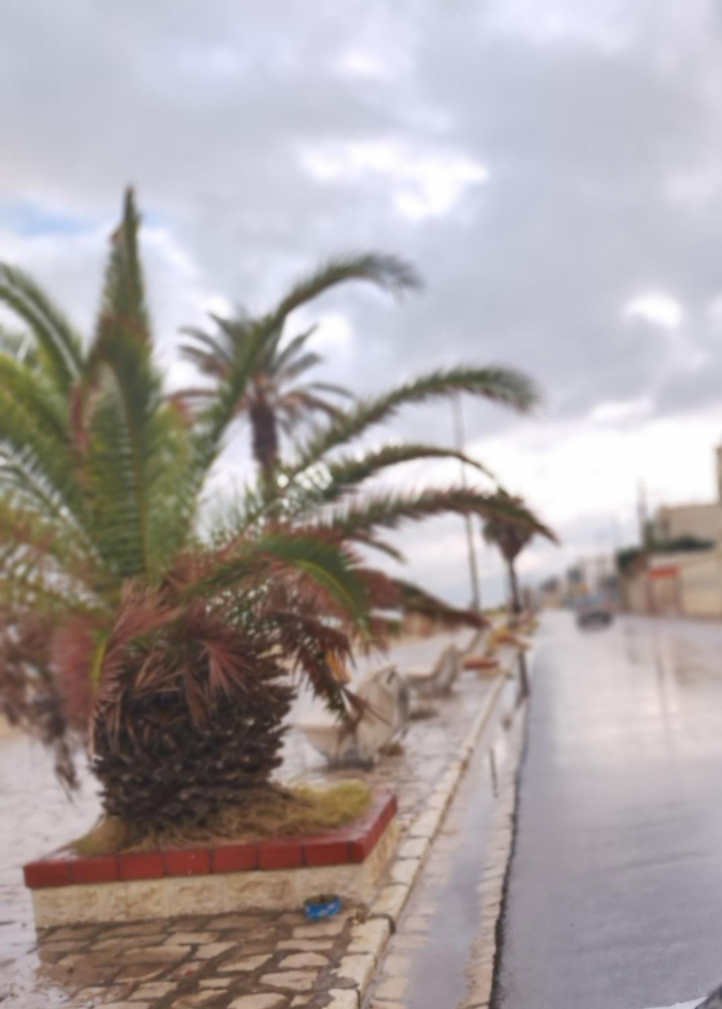 Appartement Hammam-Lif Les Cyclamens Tunisie Afrique Exteriér fotografie